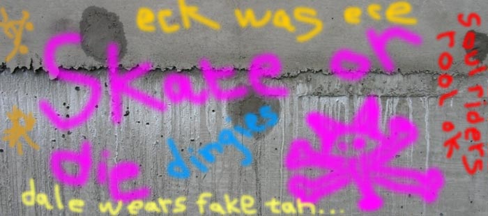 Recent graffiti seen in the park